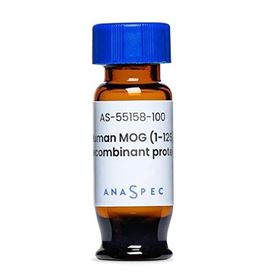 AS-55158-100AnaSpec 重组人MOG（1-125）