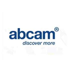 ab7291Abcam 抗α-微管蛋白抗体DM1A-装载控制