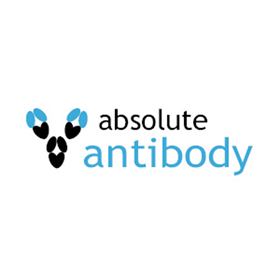 Ab00439-1.1Absolute Antibody Anti-抗体TrkA MNAC13