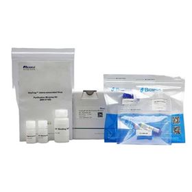 BW-V1169-00Biomiga ViraTrap腺相关病毒小量纯化试剂盒