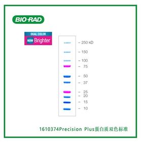 1610374伯乐Bio-Rad Precision Plus蛋白质双色标准