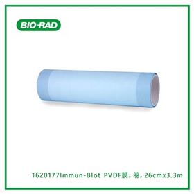 1620177伯乐Bio-Rad Immun-Blot PVDF膜