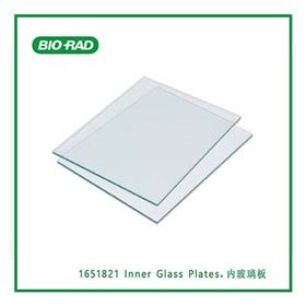 1651821伯乐Bio-Rad 内玻璃板