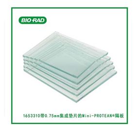 13565630645311 1653312BioRad伯乐 0.75mm/1.0mm/1.5mm玻璃板
