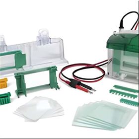1658006Bio-Rad Mini-PROTEAN Tetra细胞