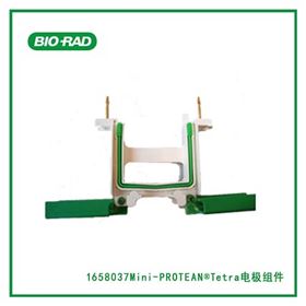 1658037伯乐Bio-Rad Mini-PROTEAN®Tetra电极组件