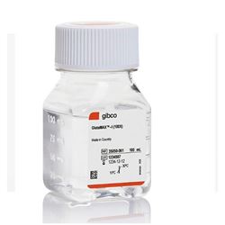 35050-061Gibco GlutaMAX 添加剂（100X）-常备现货