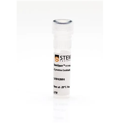 02690STEMCELL 人HSPCs扩增细胞因子-常备现货