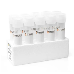 07915STEMCELL 脾脏消化解离液-常备现货