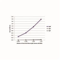 1020-06SouthernBiotech 山羊抗鼠IgM，人ads-BGAL