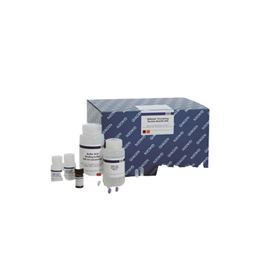 55114Qiagen 血清血浆核酸纯化试剂盒-常备现货