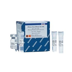 79256Qiagen RNase-Free DNase Set (250)