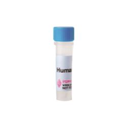 300-25-100UGPeproTech Human M-CSF-常备现货