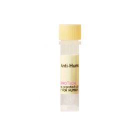 500-M06-500UGPeproTech Anti-Human IL-6-常备现货