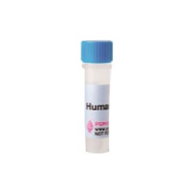 500-P33-100UGPeproTech Anti-Human GM-CSF-常备现货