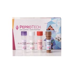 900-TM97PeproTech 小鼠IL-12 Mini-TMB开发试剂盒