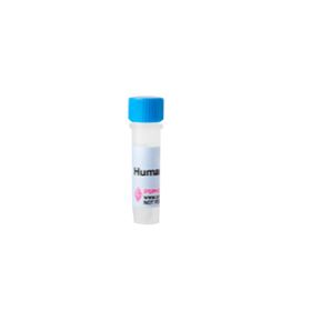 AF-300-03-100UGPeproTech Human GM-CSF-常备现货