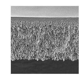 PLTK04310Millipore Ultracel PLTK 圆片型超滤膜
